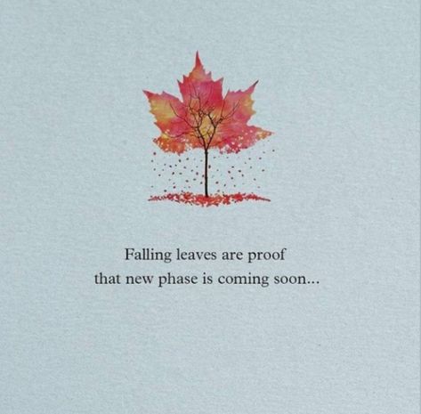 Creative Snapchats, Leaf Quotes, Cheer Up Quotes, Season Quotes, Society Quotes, Bts Song Lyrics, Flower Meanings, Symbols And Meanings, Autumn Quotes