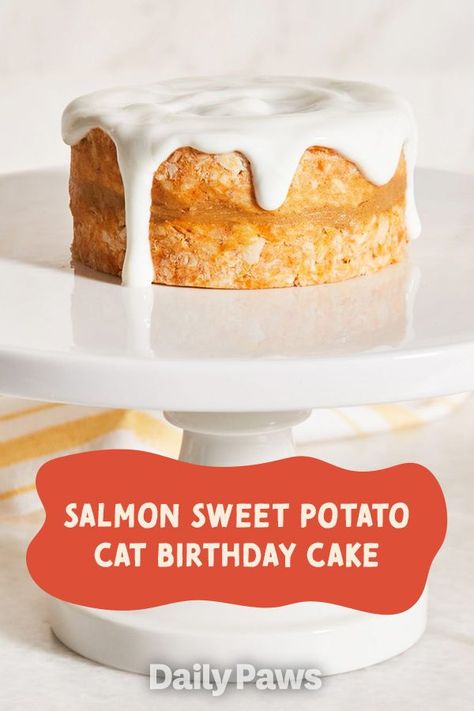 Cat Birthday Cake For Cats, Cake Recipe For Cats, Birthday Cake Peanut Butter, Homemade Cat Treats Recipes, Diy Cat Treats, Cat Birthday Cake, Potato Cat, Salmon Sweet Potato, Filet Recipes