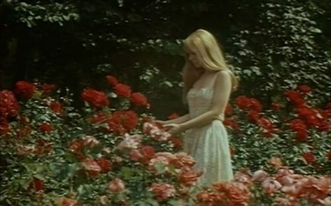 Imagem de flowers, vintage, and rose Vintage Americana, Princess Aesthetic, Jolie Photo, Red Aesthetic, Divine Feminine, Nickelodeon, Lana Del Rey, Aesthetic Pictures, Vision Board