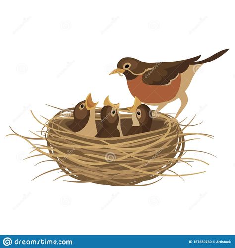 Cartoon Bird`s Nest With Chicks. Vector Illustration For Children. Springtime. Stock Vector - Illustration of game, character: 157659760 Birds In Nest Drawing, Bird In Nest Illustration, Bird Illustration Vector, Birds Nest Illustration, Birds Nest Drawing, Bird Nest Illustration, Bird Nest Drawing, Peaceful Drawings, Nest Drawing