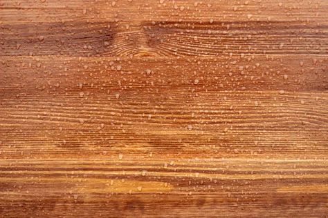 Which is Better: Staining or Painting Pressure Treated Wood? Indoor Paint, Oil Based Stain, Wooden Deck, Fence Slats, Staining Deck, Pressure Treated Wood, Deck Boards, House Siding, Which Is Better