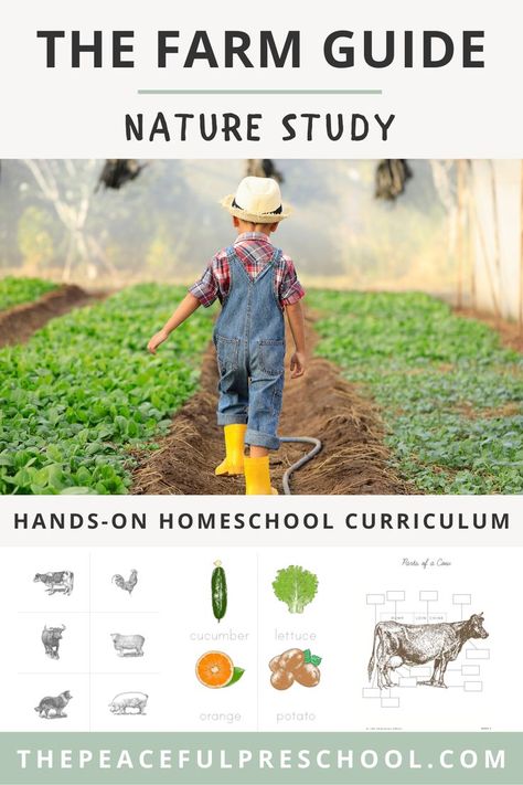 Homeschool Farm Unit, Homeschool Farm Unit Study, Unit Studies For Preschool, Unit Studies For Kindergarten, Homeschool Outside, Homestead Homeschool Curriculum, Elementary Unit Studies, Homestead Preschool, Free Unit Studies Homeschool