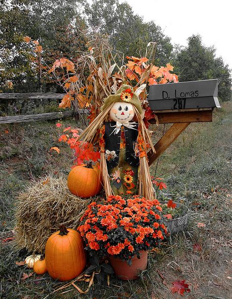 Mailbox.... curb appeal for autumn and Fall!!!! mailbox decorations are probably theeee most important part of establishing curb appeal!!  It's the very lst thing they see Porches Ideas, Fall Mailbox, Outdoor Porches, Thanksgiving Decorations Outdoor, Fall Yard Decor, Outdoor Fall Decor Ideas, Outside Fall Decor, Table Halloween, Mailbox Decor