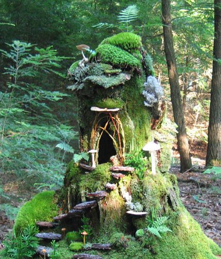 Moss Growing, Fairy Home, Fairy Garden Designs, Faeries Gardens, Fairy Tree, Moss Art, Gnome House, Fairy Garden Houses, The Secret Garden