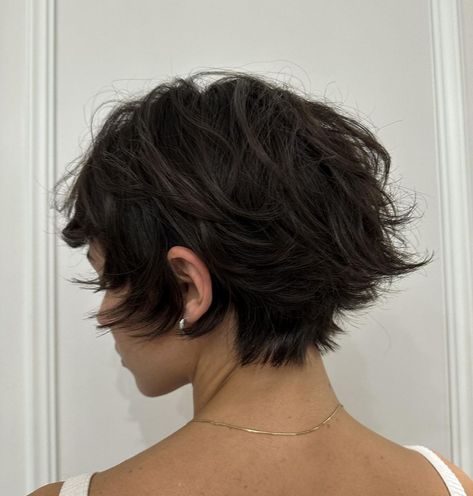 Faik Zekaj | H.Cut✂️ #haircut #shorthair • • #hairstyle #cotril #milano #beautiful #hair #cut #girl #instagood | Instagram Short Hair Inspo Women, Short Hair Inspo Layers, Hair Cut Girl, Alice Cullen, Choppy Bob Hairstyles, Choppy Bob, Hair Cut, Hair Inspo, Beautiful Hair