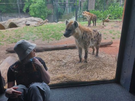 Zoo Worker Aesthetic, We Bought A Zoo Aesthetic, Zoologist Aesthetic, Wildlife Zoologist Aesthetic, Zoo Aesthetic, Zoo Job Aesthetic, Zoology Aesthetic, Zoologist Career, Zoo Aesthetic With Friends