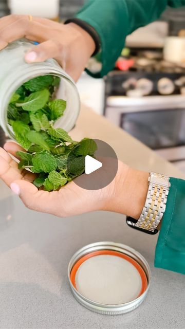 How To Store Fresh Mint Leaves, How To Freeze Mint Leaves, How To Preserve Mint, How To Preserve Mint Leaves, How To Dry Mint Leaves, Preserve Mint Leaves, Mint Leaves Recipe, Drying Mint Leaves, Ziplock Bag