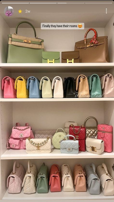 Chanel Closet Aesthetic, Handbag Wall Display, Designer Bag Closet, Luxury Bag Closet, Bag Collection Closet, Purse Closet, Purse Display, Bag Closet, Purse Collection