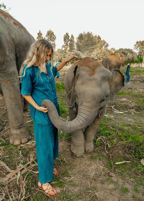 Travel Veterinarian, Travel Elephants, Thailand Elephant Sanctuary, Zoology Aesthetic, Elephant Sanctuary Thailand, Elephant Aesthetic, Vet School Motivation, Chiang Mai Elephant, Elephant Riding