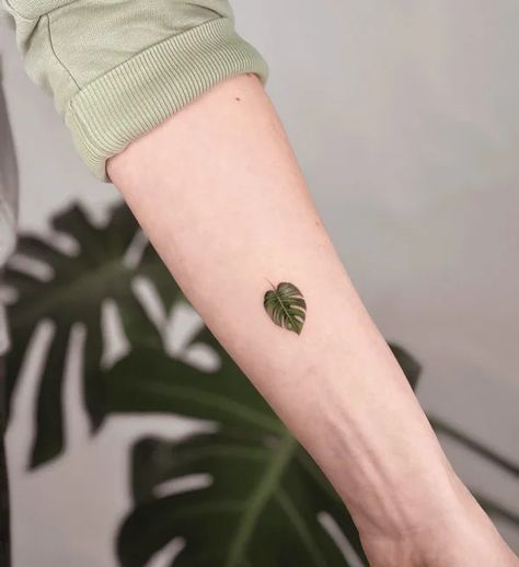 Monstera Tattoos Leaves, Monstera Tattoos, Monstera Deliciosa Tattoo, Monstera Plant Tattoo, Monstera Tattoo, Special Tattoos, Stylish Tattoo, Plant Tattoo, Botanical Tattoo