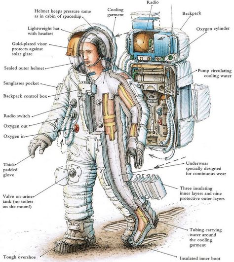 Space suit . Spacesuit structure and functions of different parts. �— Steemit Apollo Space Program, Astronaut Suit, Apollo Program, Nasa Apollo, Space Facts, Apollo Missions, Space Race, Apollo 11, Carl Sagan