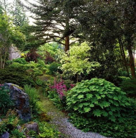 Visit the Elisabeth C. Miller Botanical Garden in Seattle to discover ideas for a woodland garden. Seattle Garden, Potted Plants Patio, Northwest Garden, Rock Garden Plants, Sloped Garden, Cottage Garden Plants, Garden Images, Forest Garden, Garden Pictures