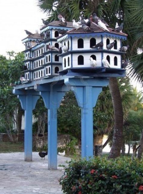 Not a fan of pigeons but these birdhouse are awesome.  I can see these being used in public spaces. Pigeon Loft Design, Pigeon Nest, Pigeon Cage, Dove House, Birdhouse Projects, Pigeon House, Pigeon Loft, Homemade Bird Houses, Beautiful Birdhouses