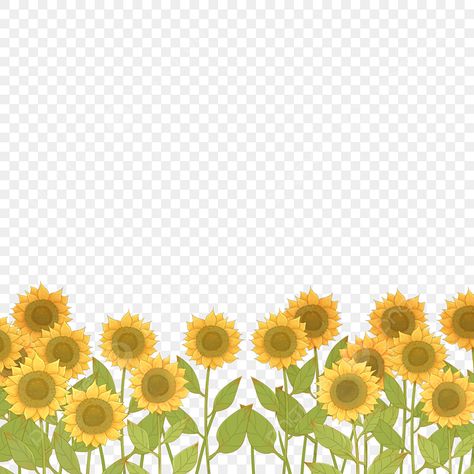 sunflower flower field cartoon png material Flower Field Cartoon, Sunflower Field Drawing, Sunflower Cartoon, Cartoon Sunflower, Png Material, Garden Illustration, Cartoon Png, Sunflower Garden, Sunflower Png