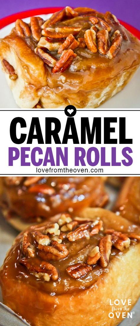 Caramel Pecan Cinnamon Rolls, Caramel Pecan Rolls, Caramel Cinnamon Rolls, Caramel Pecan Sticky Buns, Sticky Rolls, Pecan Sauce, Pecan Cinnamon Rolls, Cinnamon Roll Cheesecake, Sticky Buns Recipes