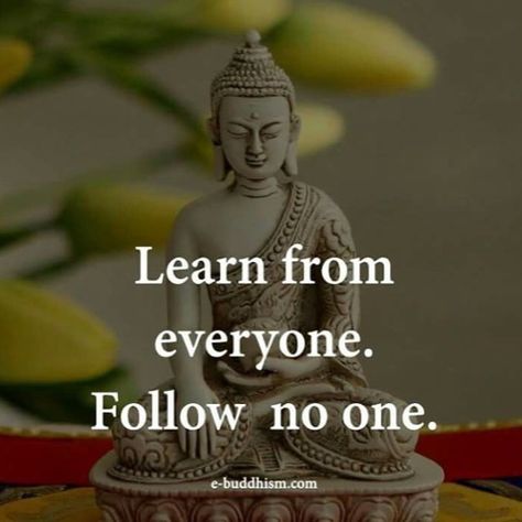 #buddha #learning #everyoneisateacher #beyourself One of the greatest teachers that you have sits right in front of you in the mirror Buddha Quotes Inspirational, Buddhism Quote, Buddhist Quotes, Buddha Quote, Buddha Quotes, Simple Living, The Words, Great Quotes, Spiritual Quotes