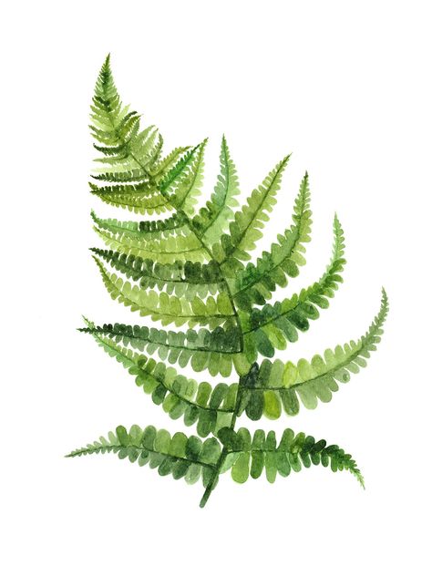 "This Forest Fern art print would make a nice addition to botanical theme home decor. All of my prints are inspired by our beautiful earth and are hand-painted with great attention to detail using artist grade watercolour paints. Then all prints are digitally perfected for a high-quality finish and are sure to be enjoyed every day!  INSTANT DOWNLOAD  Printable art is an affordable way to personalize your home or office, saving you delivery time and shipping costs. This is an instant download dig Fern Watercolor, Plant Texture, Plant Art Print, Painting Green, Modern Botanical, Wall Art Set Of 2, Fern Leaf, Leaf Drawing, Watercolor Plants