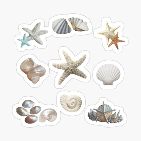 Cute Stickers Scrapbook, Scrapbook Cute Stickers, Sticker Prints Aesthetic, Sea Aesthetic Sticker, Printing Products Ideas, Cute Stickers For Scrapbook, Scrapbook Things To Print, Sea Shell Sticker, Journaling Stickers Aesthetic