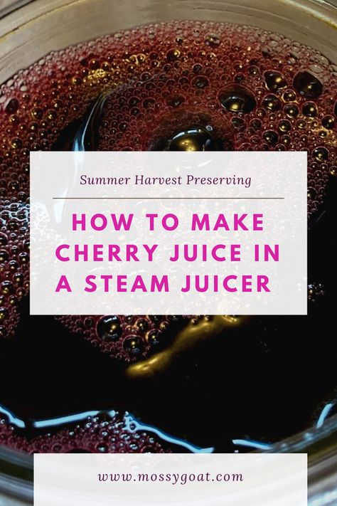 Steam juicer cherry juice How To Use A Steam Juicer, Juice Steamer Recipes, Steamer Juicer Recipes, Steam Juicer Recipes Canning, Steam Juicer Recipes, Steaming Recipes, Homemade Cherry Juice, Chokecherry Recipes, Canning Room