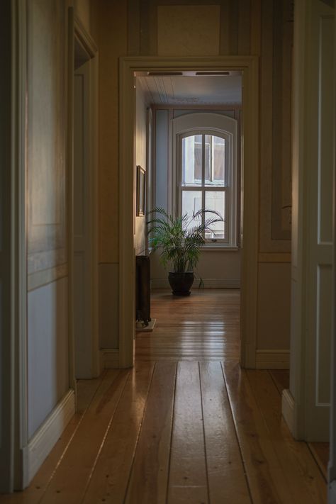 Flat London natural light minimalist empty widow wooden floors city house wallpaper renovation old modern plant pot green beige white interior calm peaceful relaxing mindful Empty House Aesthetic, Empty Apartment Aesthetic, Boring House, Empty Bedroom, Seoul Apartment, Empty Apartment, Arcade Aesthetic, Charcoal Artwork, Glass Houses