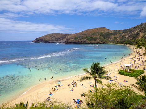 Kailua Oahu, Kailua Hawaii, Best Family Beaches, Hawaii Magazine, Polynesian Village, Hanauma Bay, Lanikai Beach, Nature Preserve, Hawaii Island