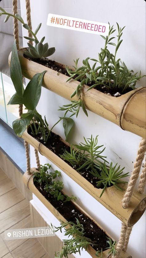 Bamboo Wall Planter, Bamboo Ideas Indoor, Bamboo Hanging Planter, Easy Bamboo Crafts Diy, Bamboo Garden Fences, Bamboo Diy, Bamboo Building, Backyard Garden Diy, Bamboo House Design