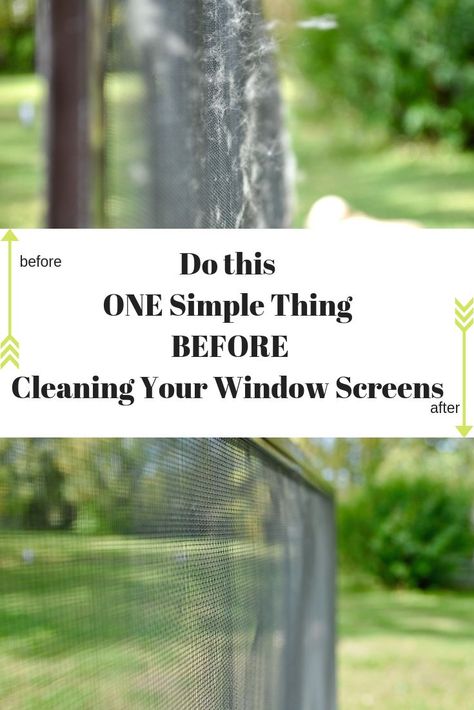 This year I tried something new when I cleaned my screens, and it made all the difference in how quickly my screens got clean. I didn't use any fancy tools or cleaner; I used a product I already owned. It made cleaning them so much quicker and easier. Do this ONE Simple Thing BEFORE Cleaning Your Window Screens! via @LttlHouseBigAK How To Wash Window Screens, How To Clean Outdoor Windows, Clean Screens Window, How To Clean Screens Window, How To Clean Screened In Porch, Cleaning Screened In Porch, How To Clean Window Screens, Window Washing Solution Outdoor, Outdoor Window Cleaner