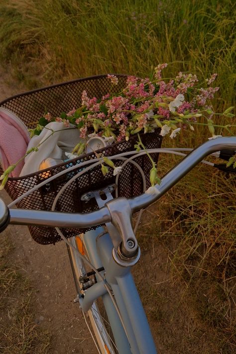 blue City bike, wild flowers, aesthetic Blue Bike With Basket, City Bike Aesthetic, Nieve Aesthetic, Wild Flowers Aesthetic, Checklist Aesthetic, Cute Bouquet, Aesthetic Bike, Cherry Girl, Bike With Basket