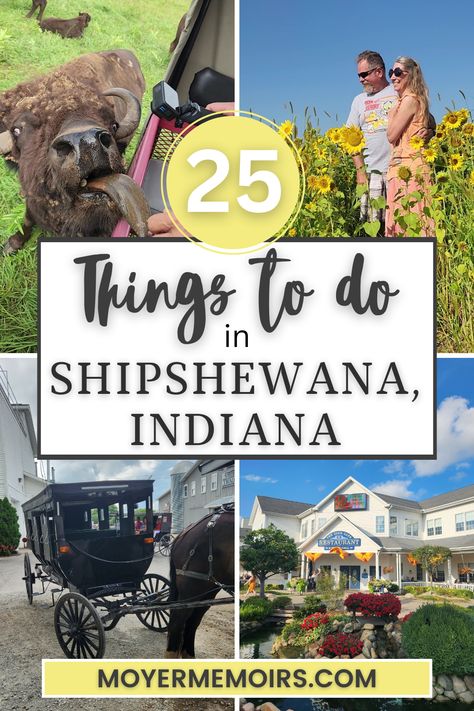 feeding bison, couple posing in a sunflower field, black Amish buggy, Shipshewana restaurant with flowers out in front. Ft Wayne Indiana, What To Do In Indiana, Shipshewana Indiana Things To Do, Travel Indiana, Indiana Vacation, Indiana Beach, Shipshewana Indiana, Usa Places To Visit, Carmel Indiana