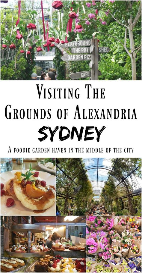 Urban Gardening, Sydney Photography, The Grounds Of Alexandria, City Of Adelaide, Rivers And Roads, Australia Tourism, Sydney Travel, Visit Sydney, Australia Vacation