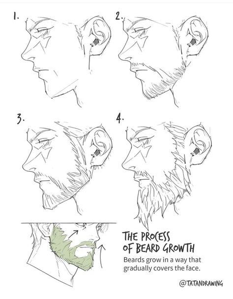 Manga Faces Reference, Face Studies Reference, Beard Tutorial Drawing, Semi Realistic Head Tutorial, Best Artstyle, Head Form Drawing, Comic Base Reference, How To Add Texture To Digital Art, Body Hair Drawing Reference