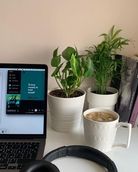 Discovering Yourself, Out On A Limb, Powerful Woman, Plant Aesthetic, Study Inspiration, Plant Mom, Get Real, Study Room, Bedroom Inspo