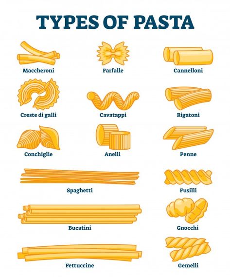 Essen, Pasta Noodle Types, Pasta Names, Pasta Illustration, Gnocchi Pasta, Homemade Pasta Recipe, Pasta Types, Recipe Drawing, Food Vocabulary