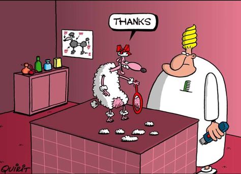 Dog Groomer Humor, Groomer Humor, Dog Boarding Ideas, Dog Station, Organic Dog Food, Pet Grooming Salon, Dog Grooming Styles, Dog Grooming Salons, Dog Insurance