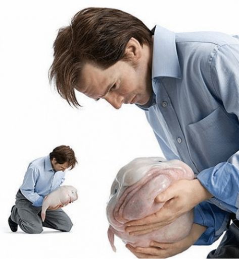 Man with strange animal - stock photos for memes A Man, Meat