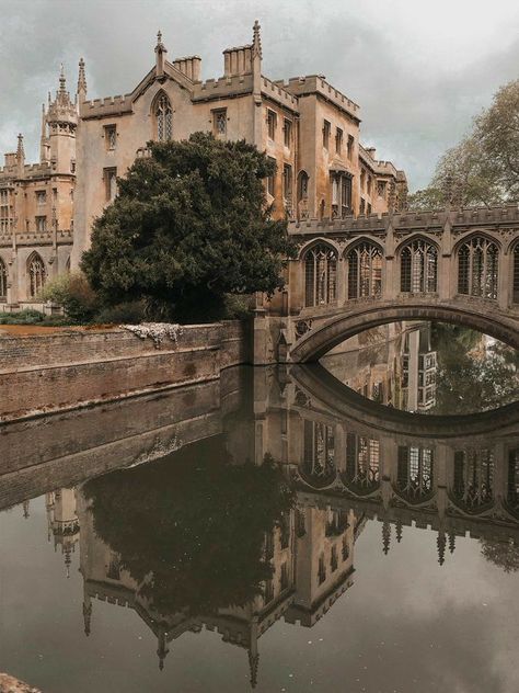 Bridge, Tumblr, Water