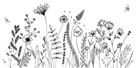 Download the Black silhouettes of grass, flowers and herbs isolated on white background. Hand drawn sketch flowers and insects. 2373063 royalty-free Vector from Vecteezy for your project and explore over a million other vectors, icons and clipart graphics! Grass Vector, Wildflower Drawing, Grass Flowers, Flower Line Drawings, Doodle Images, Monochrome Prints, Black Silhouette, Drawing Images, Flower Images