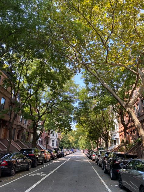 #nyc #newyorkcity #streetphotography #fallvibes #harlem Nature, Harlem New York Aesthetic, Harlem Aesthetic, Hempstead New York, New York Brownstone, Harlem Nyc, East Harlem, Harlem New York, Washington Heights