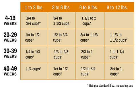 kitten feeding chart_abound Cat Feeding Chart, Cat Feeding Schedule, Kitty Care, Kitty Ideas, Operant Conditioning, Foster Baby, Cat Tips, How To Cat, Newborn Kittens