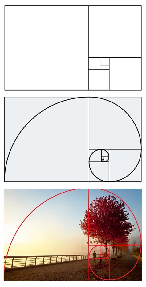 Photography Cheat Sheets, Desen Realist, Fibonacci Spiral, Kunst Inspiration, Design Theory, Photo Composition, Seni Origami, Gambar Figur, Foto Tips