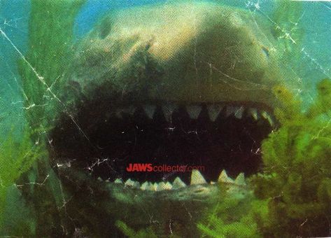 Jaws 2 | JAWScollector.com Jaws 2, Lake Placid, Anaconda, Northern Lights, Lake, Natural Landmarks, Travel, Nature