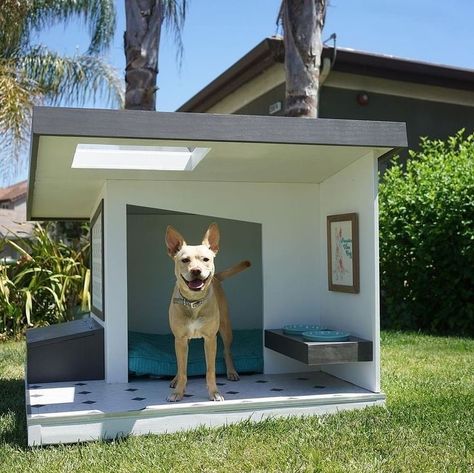 Luxury Dog House, Dog Backyard, Modern Dog Houses, Dog Bedroom, Build A Dog House, Dog House Plans, Outdoor Dog House, Cool Dog Houses, Dog Spaces