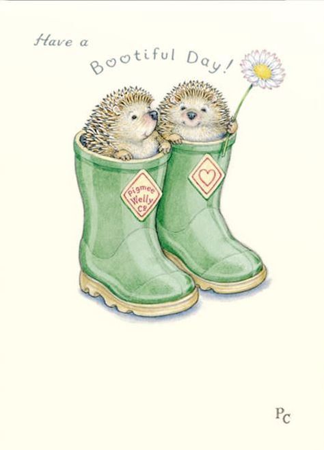 Peter Cross Hedgehog Art, 수채화 그림, Penny Black, Hedgehogs, E Card, Beatrix Potter, Childrens Illustrations, Pics Art, Whimsical Art