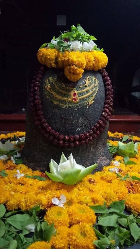 Shiv linga Plano Texas, Top Indian, Om Namah Shivaya, Spiritual Healer, Sanskrit, Shiva, Texas, Statue, Stone