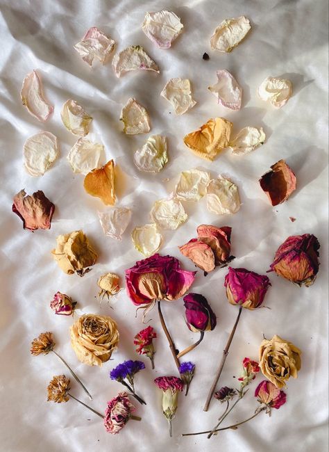 Dried Rose Petals Aesthetic, Dried Flowers Background, Dried Flowers Photography, Dried Flowers Ideas, Floral Therapy, Dried Flower Petals, Wilted Flowers, Dried Petals, Arrangement Flowers