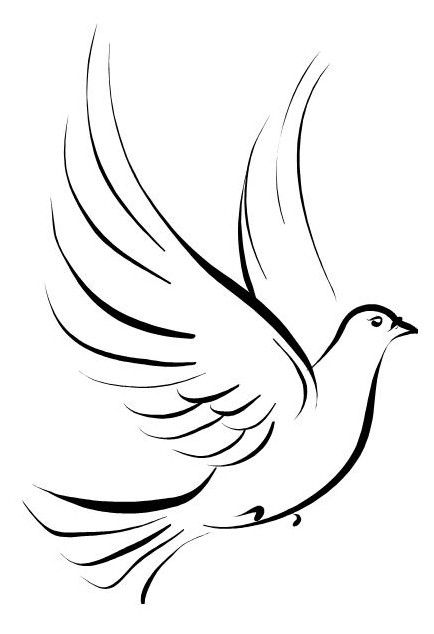 If I ever got a tattoo--this in white ink w/olive branch, on my shoulder. To symbolize, I'm at peace and always new beginnings. Small Dove Tattoos, Pigeon Tattoo, Dove Tattoos, Dove Tattoo, Bird Flying, White Dove, Memorial Tattoos, White Bird, Birds Tattoo