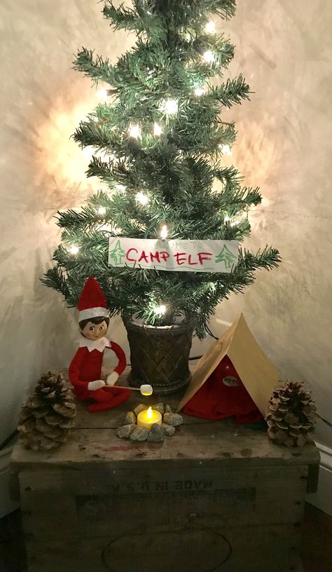 Elf On The Shelf Campfire, Elf Camping, Elf On The Shelf Camping, Bookstore Window, Elf Shenanigans, Shelf Ideas, On The Shelf, Christmas Traditions, Elf On The Shelf