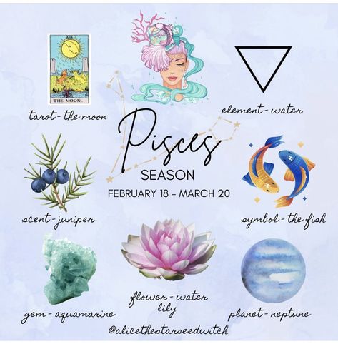 Pisces Flower, Pieces Horoscope, Zodia Pești, Water Lily Tattoos, Pisces Tattoo Designs, Pisces Traits, Horoscope Tattoos, Pisces Girl, Pisces And Aquarius