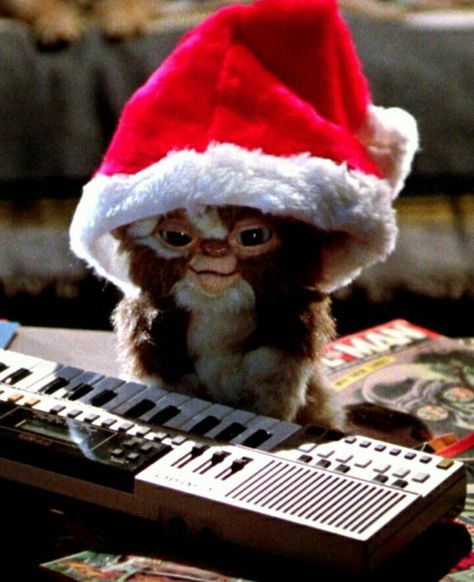 Aww Gizmo #gremlins Septième Art, New Retro Wave, Film Horror, Baguio, 80s Movies, Holiday Movie, Gremlins, Old Movies, 귀여운 동물