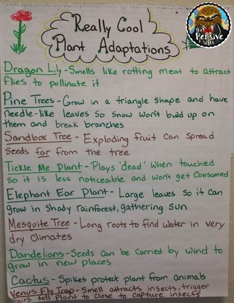 Plant Adaptations Anchor Chart from The Pensive Sloth for 5th Grade STAAR Life Science Plant Adaptations Anchor Chart, Adaptations Anchor Chart, Elementary Science Teacher, Grade 3 Science, Plant Adaptations, Fourth Grade Science, Science Anchor Charts, 7th Grade Science, Third Grade Science